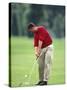 Male Golfer in Action-Chris Trotman-Stretched Canvas