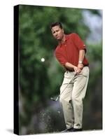 Male Golfer in Action-Chris Trotman-Stretched Canvas