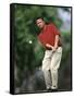 Male Golfer in Action-Chris Trotman-Framed Stretched Canvas