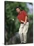 Male Golfer in Action-Chris Trotman-Stretched Canvas