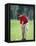 Male Golfer in Action-Chris Trotman-Framed Stretched Canvas