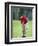 Male Golfer in Action-Chris Trotman-Framed Photographic Print