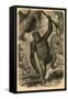Male Gorilla-null-Framed Stretched Canvas