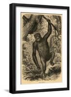 Male Gorilla-null-Framed Art Print