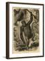 Male Gorilla-null-Framed Art Print