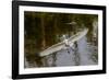 Male Great egret flying, Merritt Island National Wildlife Refuge, Florida-Adam Jones-Framed Photographic Print