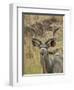 Male Greater Kudu, Kruger National Park, South Africa, Africa-James Hager-Framed Photographic Print