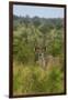 Male greater kudu, Kruger National Park, South Africa-David Wall-Framed Photographic Print