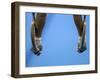 Male Gymnast Competing on Rings in Men's Qualification, 2004 Olympic Summer Games, Athens, Greece,-Steven Sutton-Framed Photographic Print