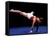 Male Gymnast Performing on the Floor Exercise-null-Framed Stretched Canvas