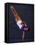 Male Gymnast Performing on the Floor Exercise-null-Framed Stretched Canvas