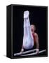 Male Gymnast Performing on the Parallel Bars-null-Framed Stretched Canvas