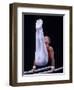 Male Gymnast Performing on the Parallel Bars-null-Framed Photographic Print