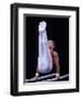 Male Gymnast Performing on the Parallel Bars-null-Framed Photographic Print