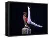 Male Gymnast Performing on the Pomell Horse-null-Framed Stretched Canvas