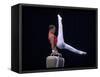 Male Gymnast Performing on the Pomell Horse-null-Framed Stretched Canvas
