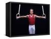 Male Gymnast Performing on the Rings-null-Framed Stretched Canvas