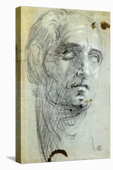 Male Head-Jacopo Robusti-Stretched Canvas