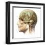 Male Human Head with Skull and Artificial Electronic Circuit Brain-null-Framed Art Print