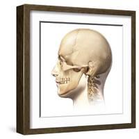 Male Human Head with Skull in Ghost Effect, Side View-null-Framed Art Print