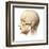 Male Human Head with Skull in Ghost Effect, Side View-null-Framed Art Print