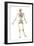 Male Human Skeleton in Dynamic Posture, Rear View-null-Framed Art Print