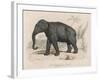 Male Indian Elephant-Victor Jean Adam-Framed Art Print