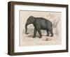 Male Indian Elephant-Victor Jean Adam-Framed Art Print