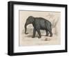 Male Indian Elephant-Victor Jean Adam-Framed Art Print