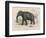 Male Indian Elephant-Victor Jean Adam-Framed Art Print