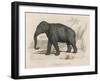 Male Indian Elephant-Victor Jean Adam-Framed Art Print