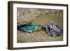 Male Kingfisher feeding chicks in artificial nest, Italy-Angelo Gandolfi-Framed Photographic Print