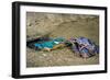 Male Kingfisher feeding chicks in artificial nest, Italy-Angelo Gandolfi-Framed Photographic Print