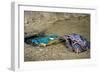 Male Kingfisher feeding chicks in artificial nest, Italy-Angelo Gandolfi-Framed Photographic Print