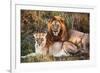 Male Lion and Female Lion - a Couple, on Savanna. Safari in Serengeti, Tanzania, Africa-Michal Bednarek-Framed Photographic Print