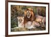 Male Lion and Female Lion - a Couple, on Savanna. Safari in Serengeti, Tanzania, Africa-Michal Bednarek-Framed Photographic Print