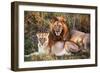 Male Lion and Female Lion - a Couple, on Savanna. Safari in Serengeti, Tanzania, Africa-Michal Bednarek-Framed Photographic Print