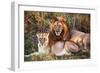 Male Lion and Female Lion - a Couple, on Savanna. Safari in Serengeti, Tanzania, Africa-Michal Bednarek-Framed Photographic Print