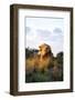 Male Lion Bathed in Evening Light and Roaring, Amani Lodge, Near Windhoek, Namibia, Africa-Lee Frost-Framed Photographic Print