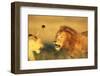 Male Lion Charging Lioness-Paul Souders-Framed Photographic Print