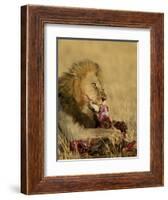 Male Lion Eating a Blue Wildebeest, Masai Mara National Reserve, Kenya, East Africa-James Hager-Framed Photographic Print