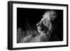 Male Lion (Panthera Leo) , in Infra Red, Masai Mara, Kenya-null-Framed Photographic Print