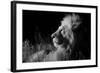 Male Lion (Panthera Leo) , in Infra Red, Masai Mara, Kenya-null-Framed Photographic Print