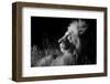 Male Lion (Panthera Leo) , in Infra Red, Masai Mara, Kenya-null-Framed Photographic Print