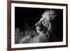 Male Lion (Panthera Leo) , in Infra Red, Masai Mara, Kenya-null-Framed Photographic Print