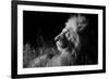 Male Lion (Panthera Leo) , in Infra Red, Masai Mara, Kenya-null-Framed Photographic Print