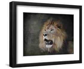 Male Lion Portrait 2-Jai Johnson-Framed Giclee Print