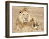 Male Lion Resting in the Grass, Kenya, East Africa, Africa-James Gritz-Framed Photographic Print