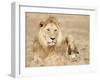 Male Lion Resting in the Grass, Kenya, East Africa, Africa-James Gritz-Framed Photographic Print