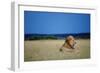 Male Lion Resting on Savanna-null-Framed Photographic Print